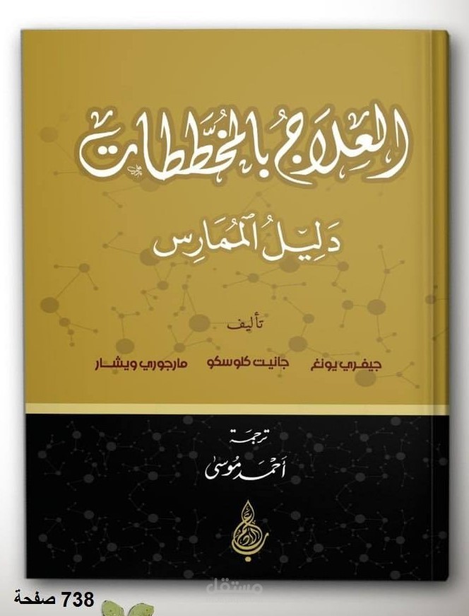 العلاج بالمخططات: دليل الممارس