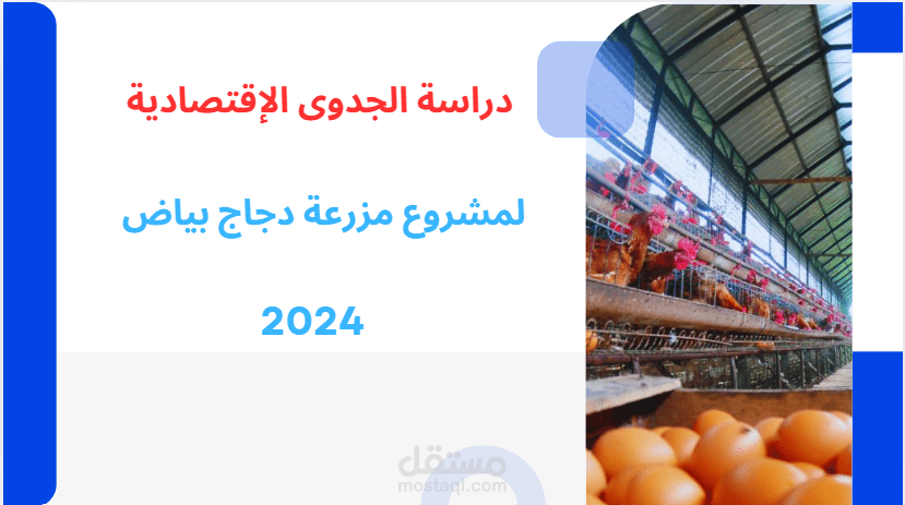 دراسة جدوى لمزرعة دجاج بياض