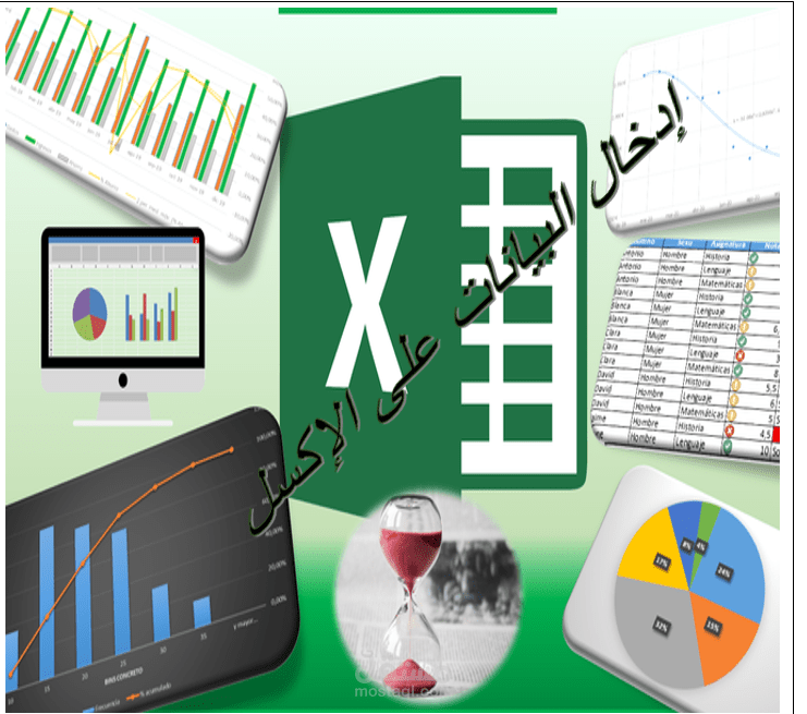 إدخال  بيانات وتنسيق جداول Excel  بشكل احترافي