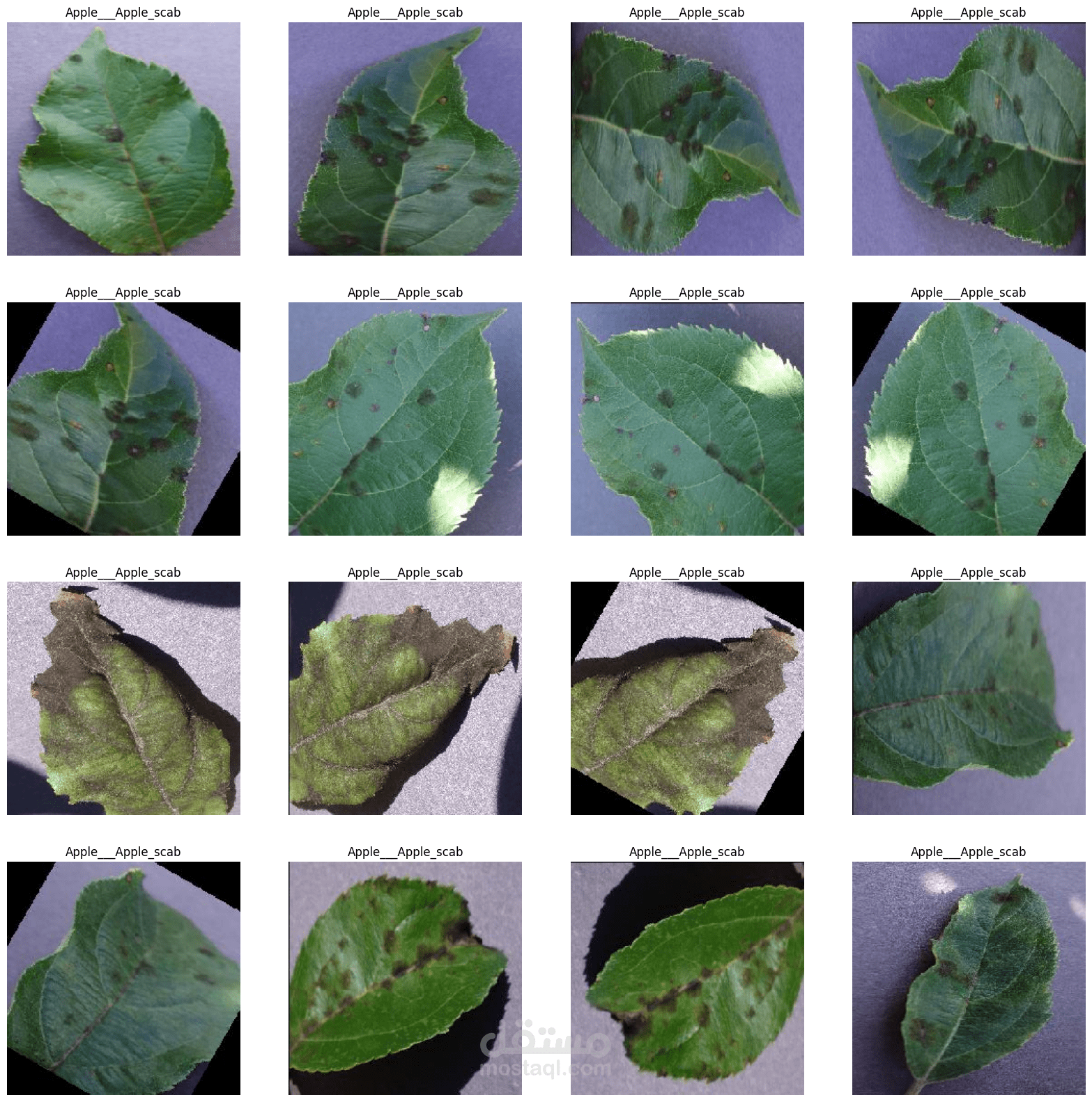 Plant Disease Classification باستخدام Deep Learning وTransfer Learning