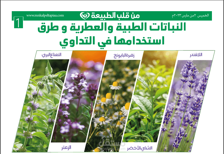 تصميم جريدة عن النباتات والعلاج بالأعشاب