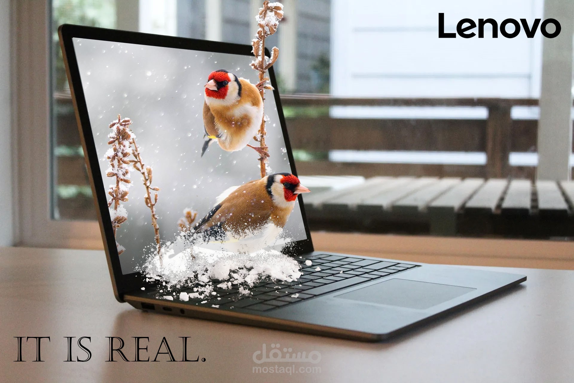 3D Bird Laptop