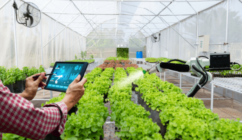 Automated-Greenhouse-Project