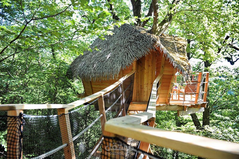 أجمل 10 تصميمات لبيوت الشجرة فى العالم