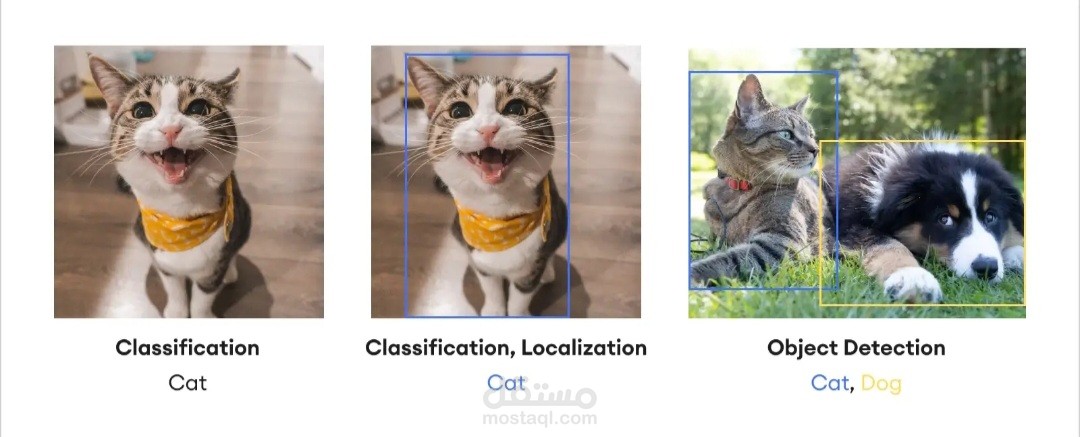 Object Detection