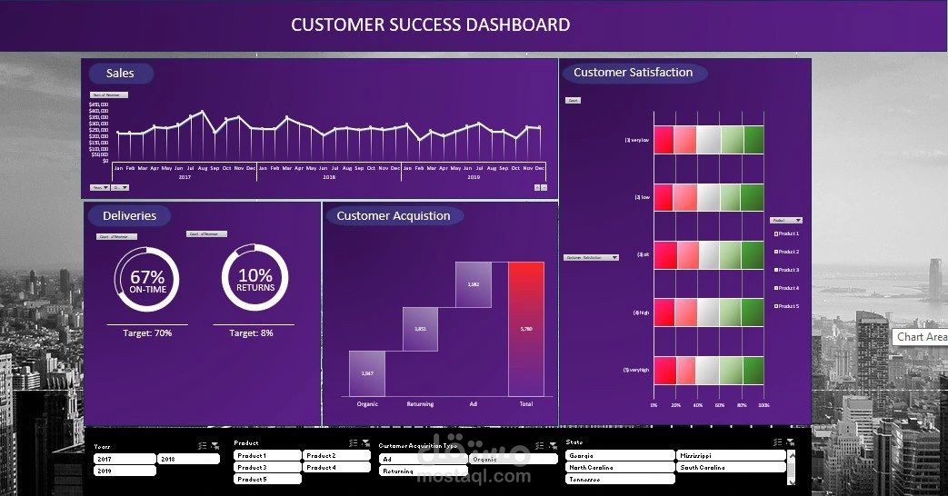 Customer Success Insights