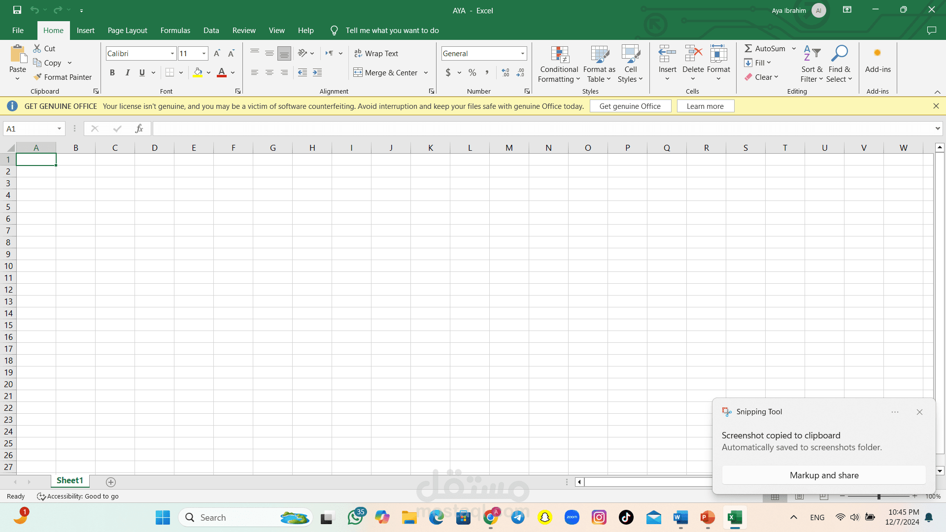 excel project