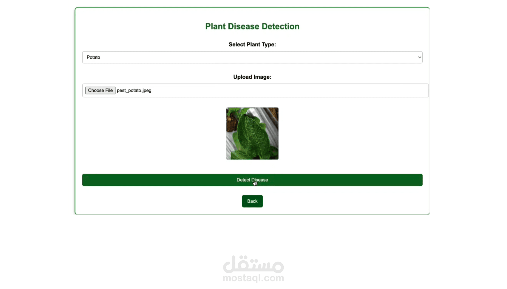 برنامج تشخيص بعض امراض النباتات