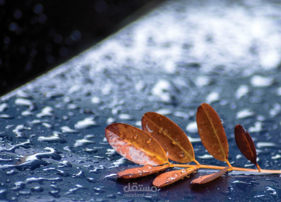 Rain Prediction