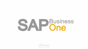 تخصيص حلول SAP Business One باستخدام SDK والتقارير