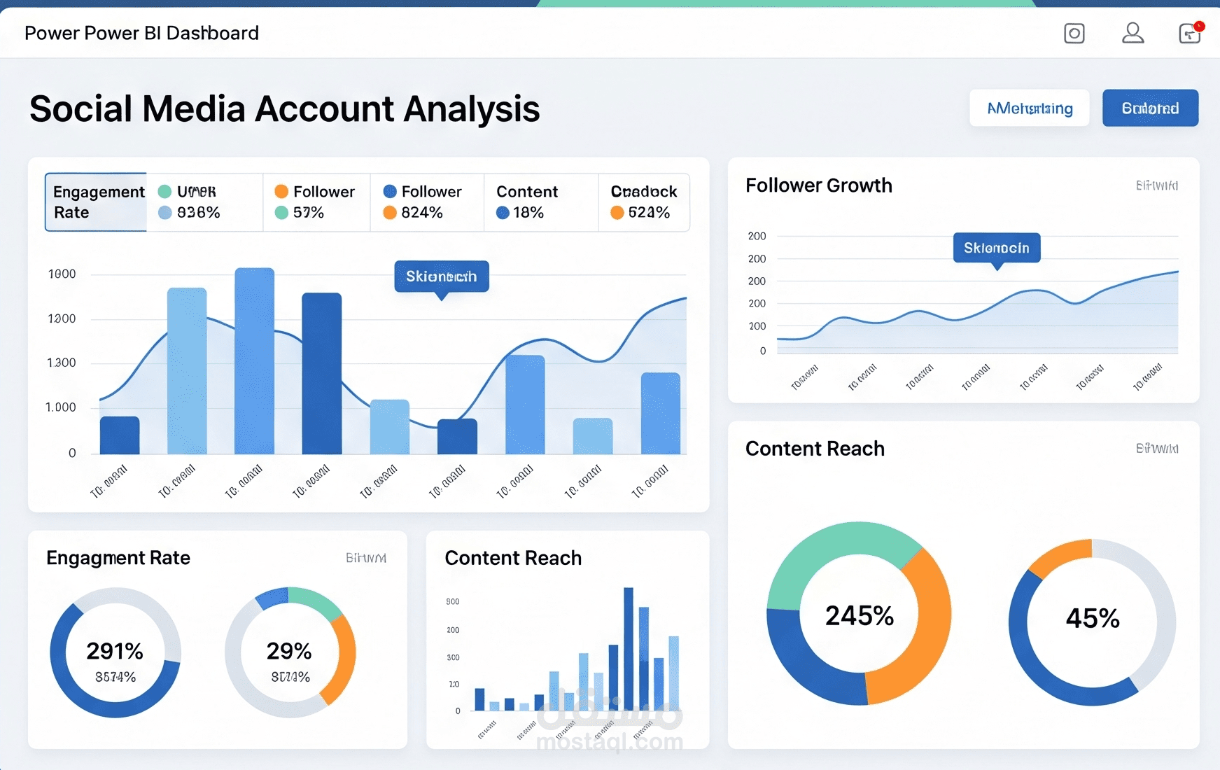 Social Media Account Analysis