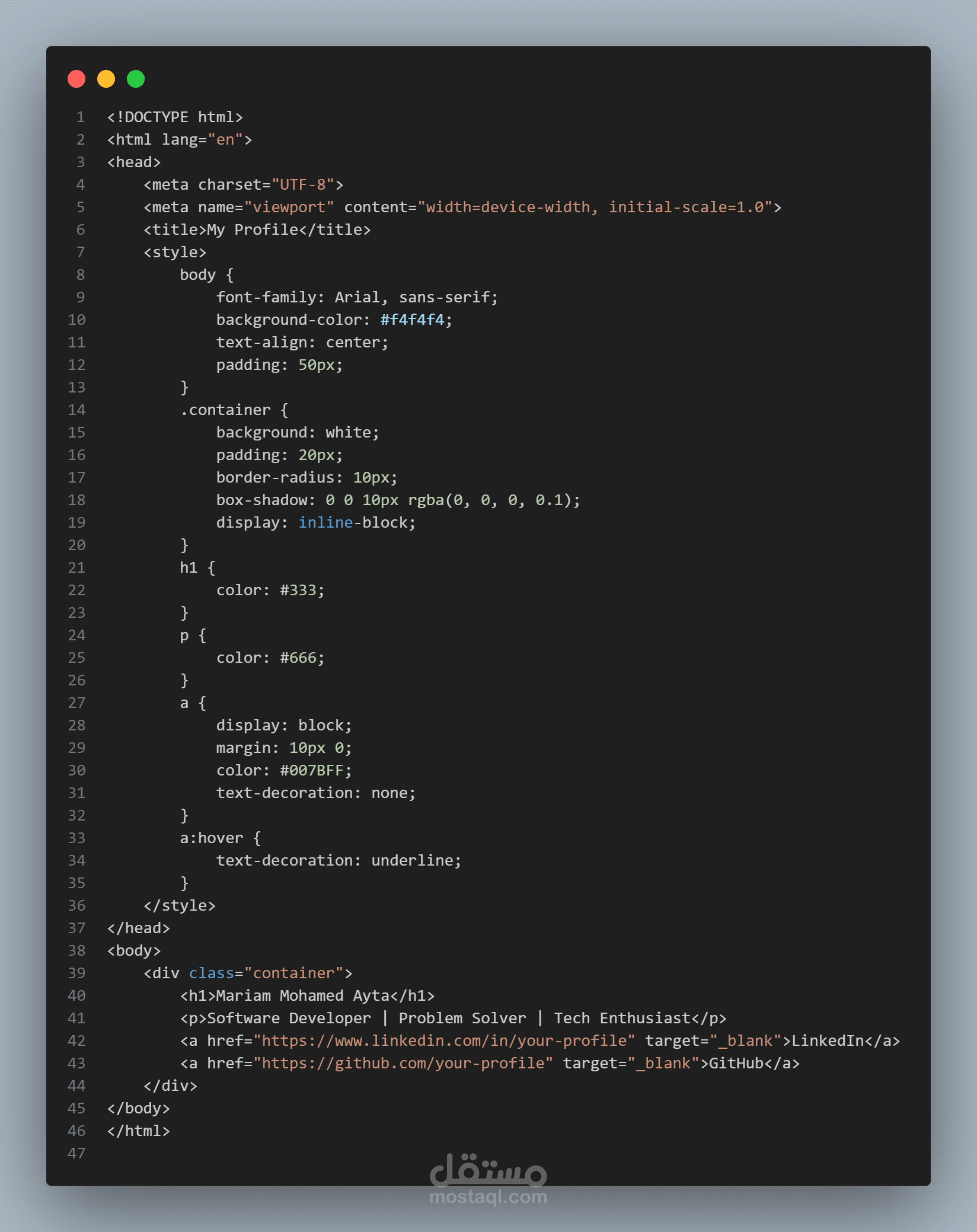 Profile Website (HTML & CSS)