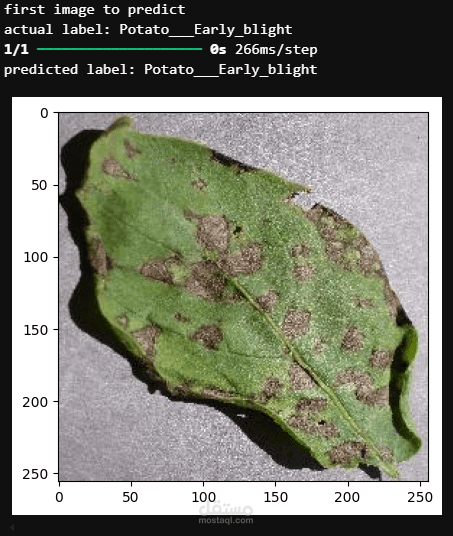 AI Plant Diseases Detector