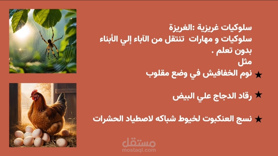 الصفات المكتسبة
