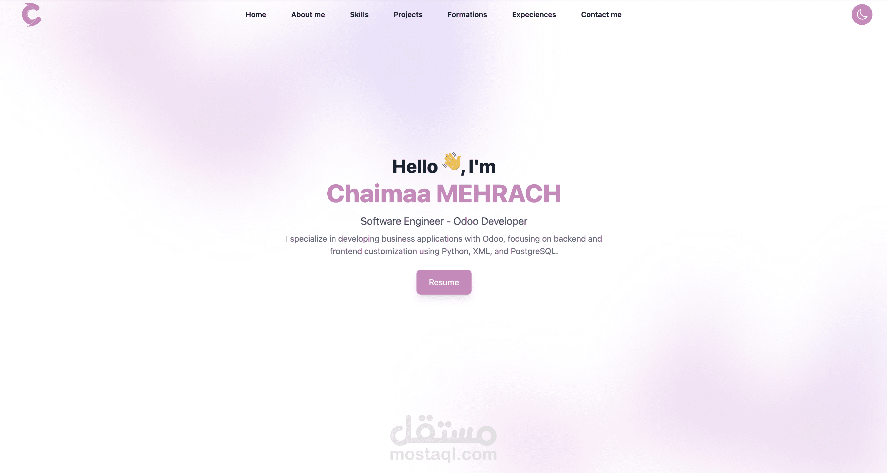محفظة مشاريع Vue.js وTailwind CSS
