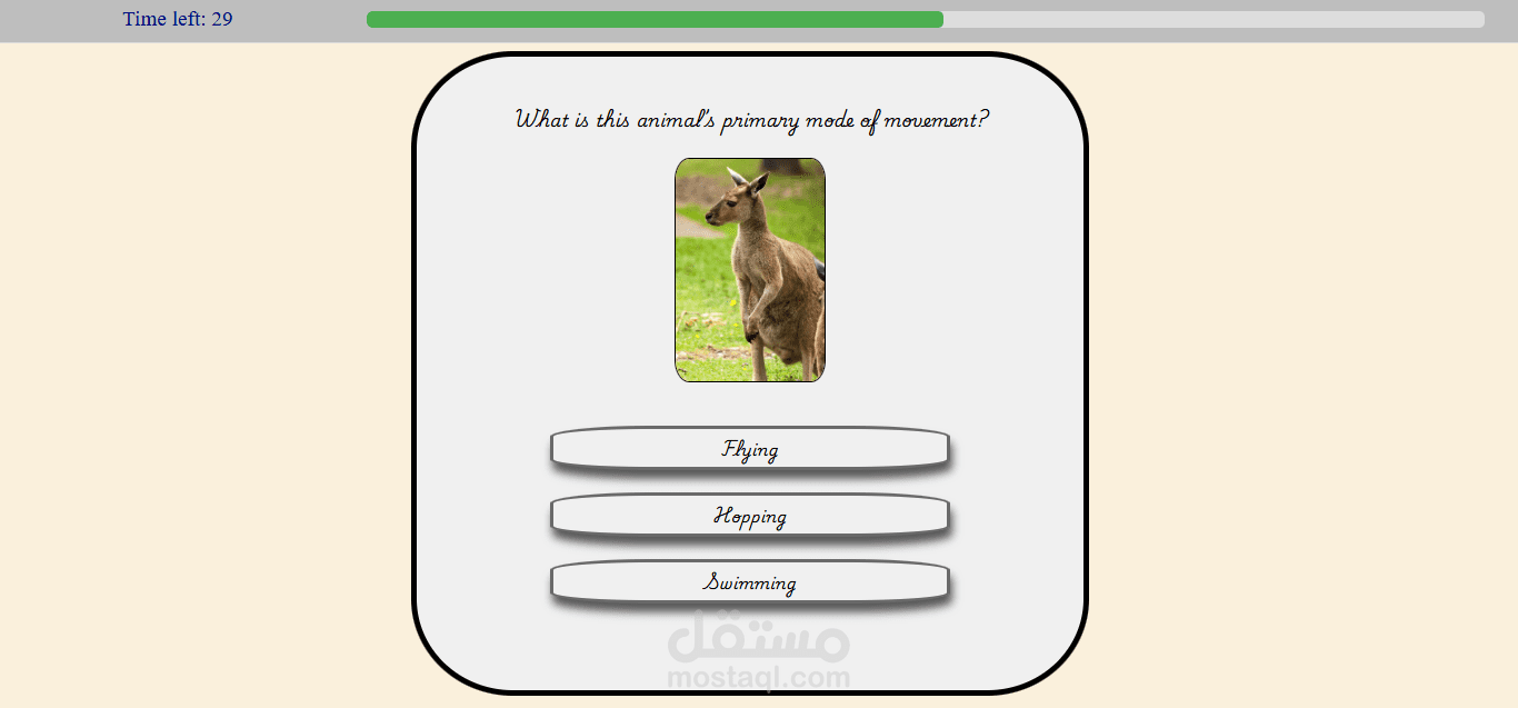 Online Exam Website