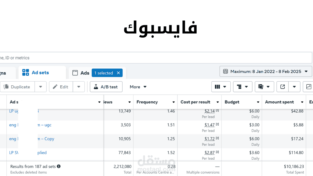إدارة حملات لمتجر إلكتروني في ميتا