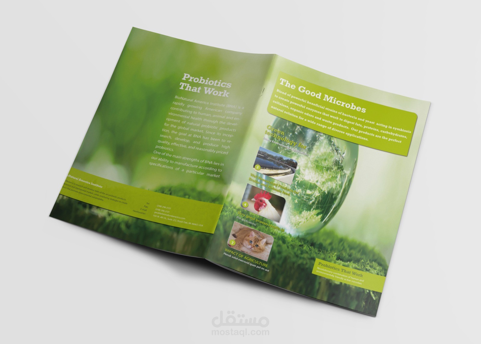 تصميمنا لغلاف بروفايل