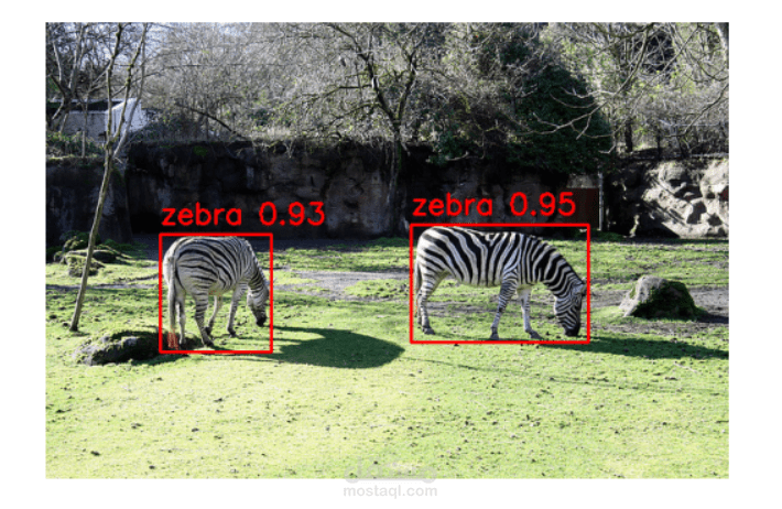 object detection with yolo