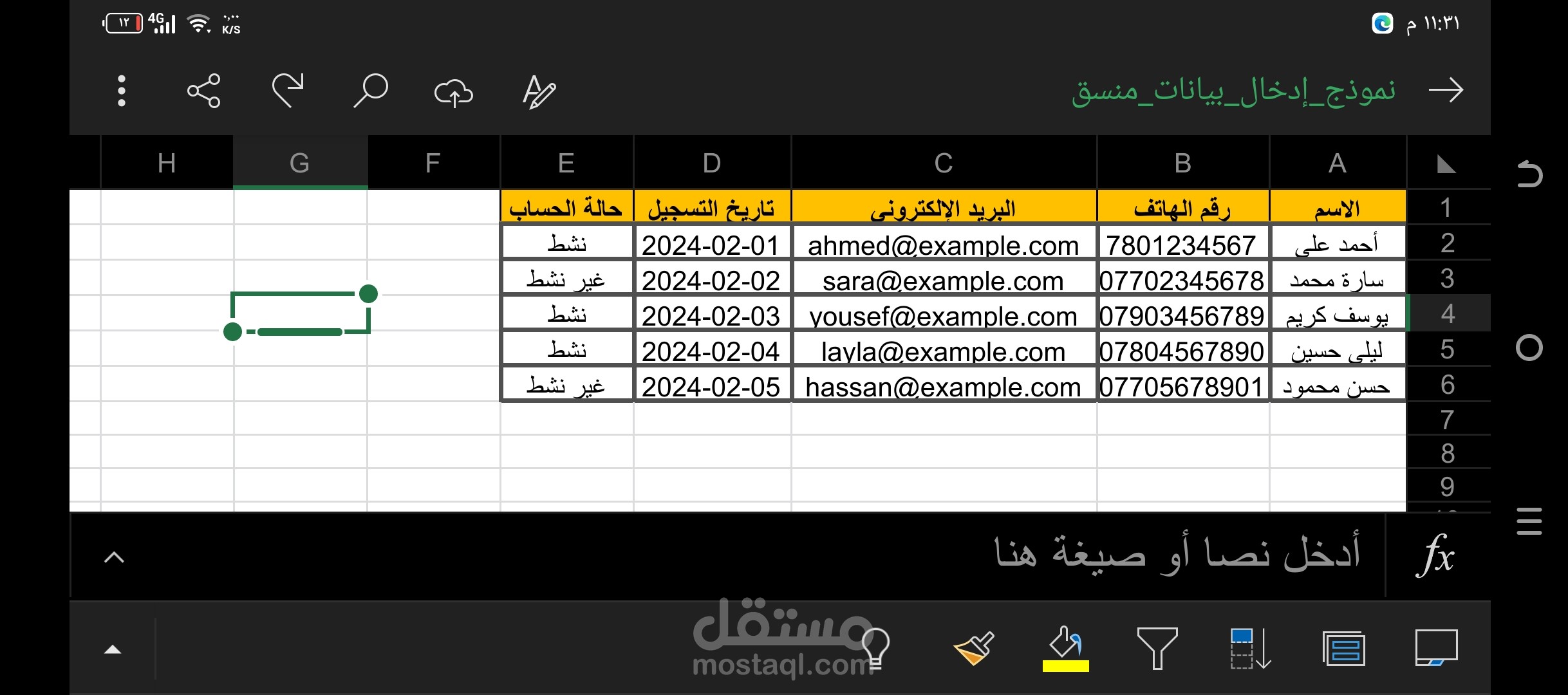 تنظيم وإدخال بيانات في Excel باحترافية