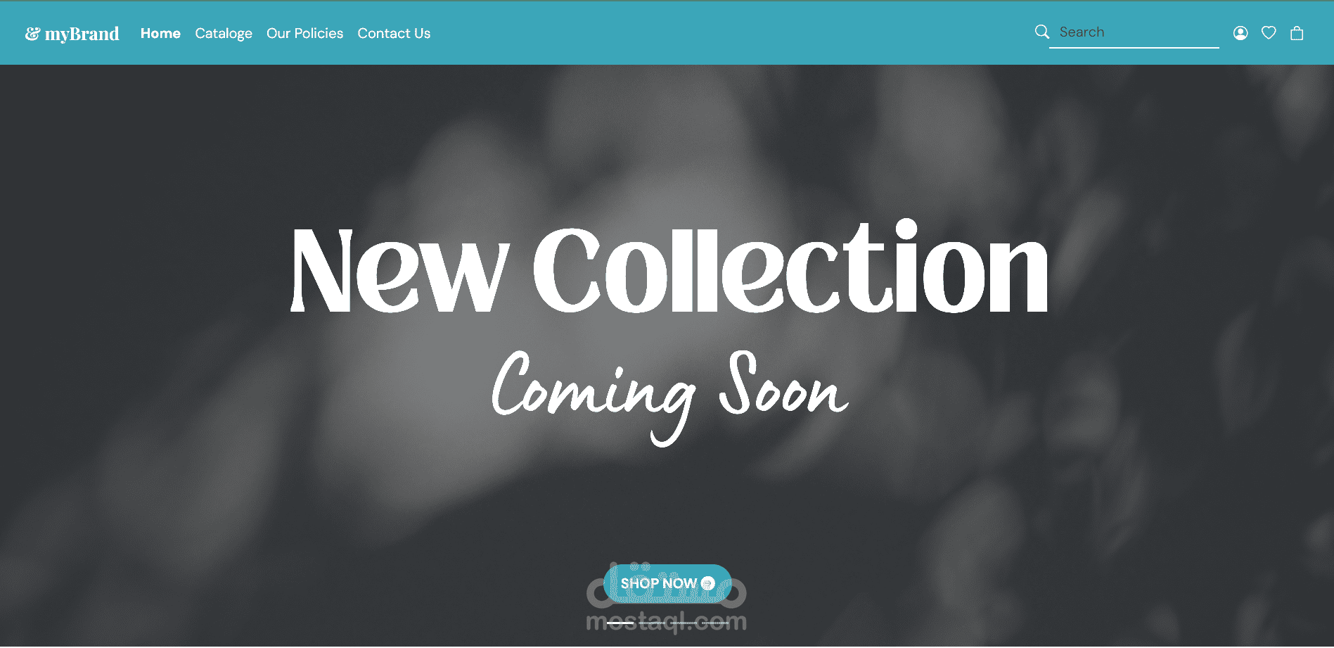 Fashion e-commerce
