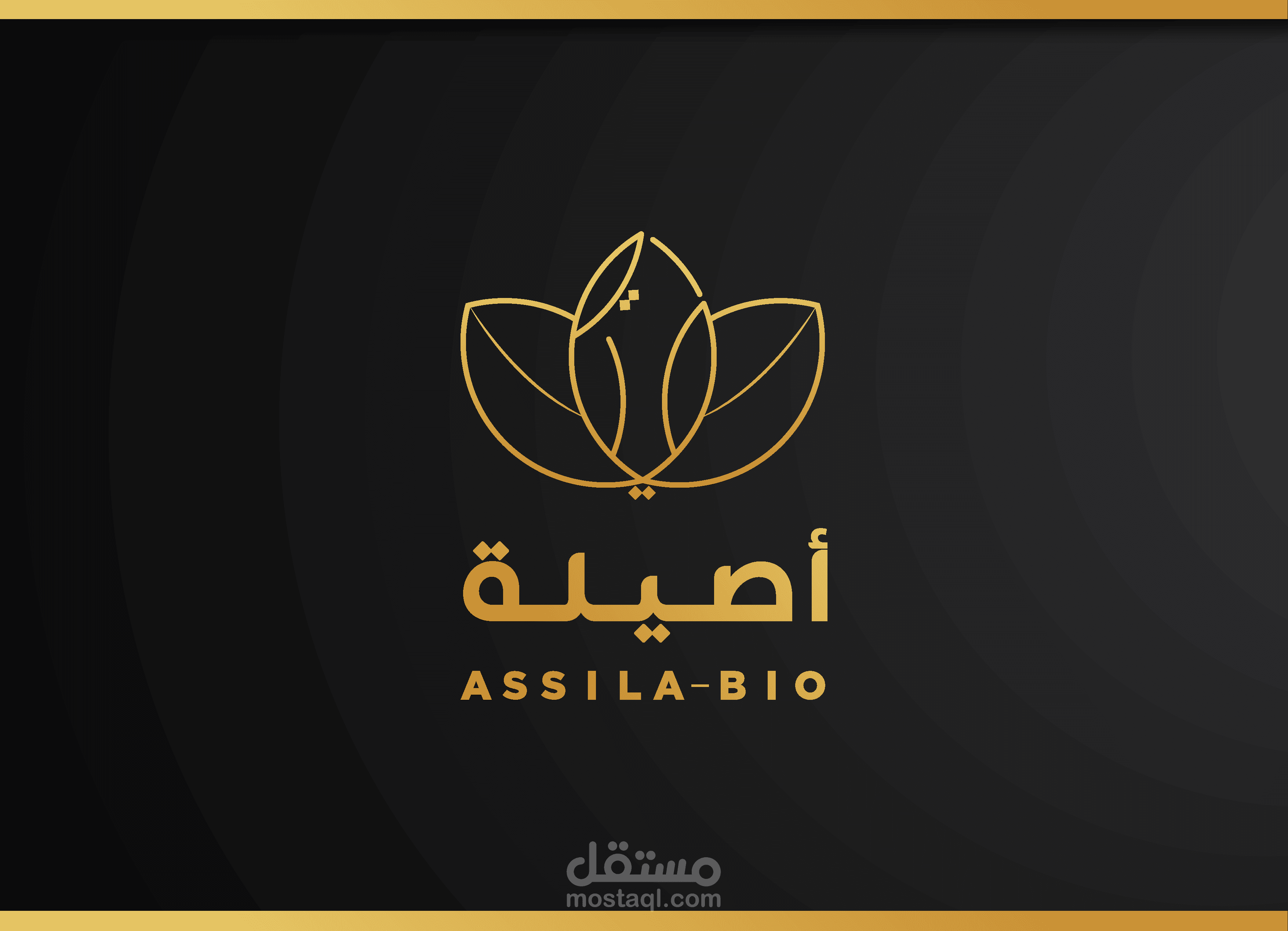 شعار و هوية لشركة أصيلة