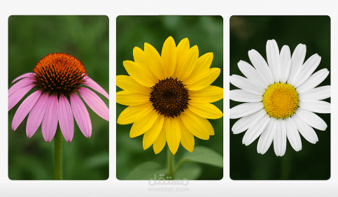 Flower Image Recognition