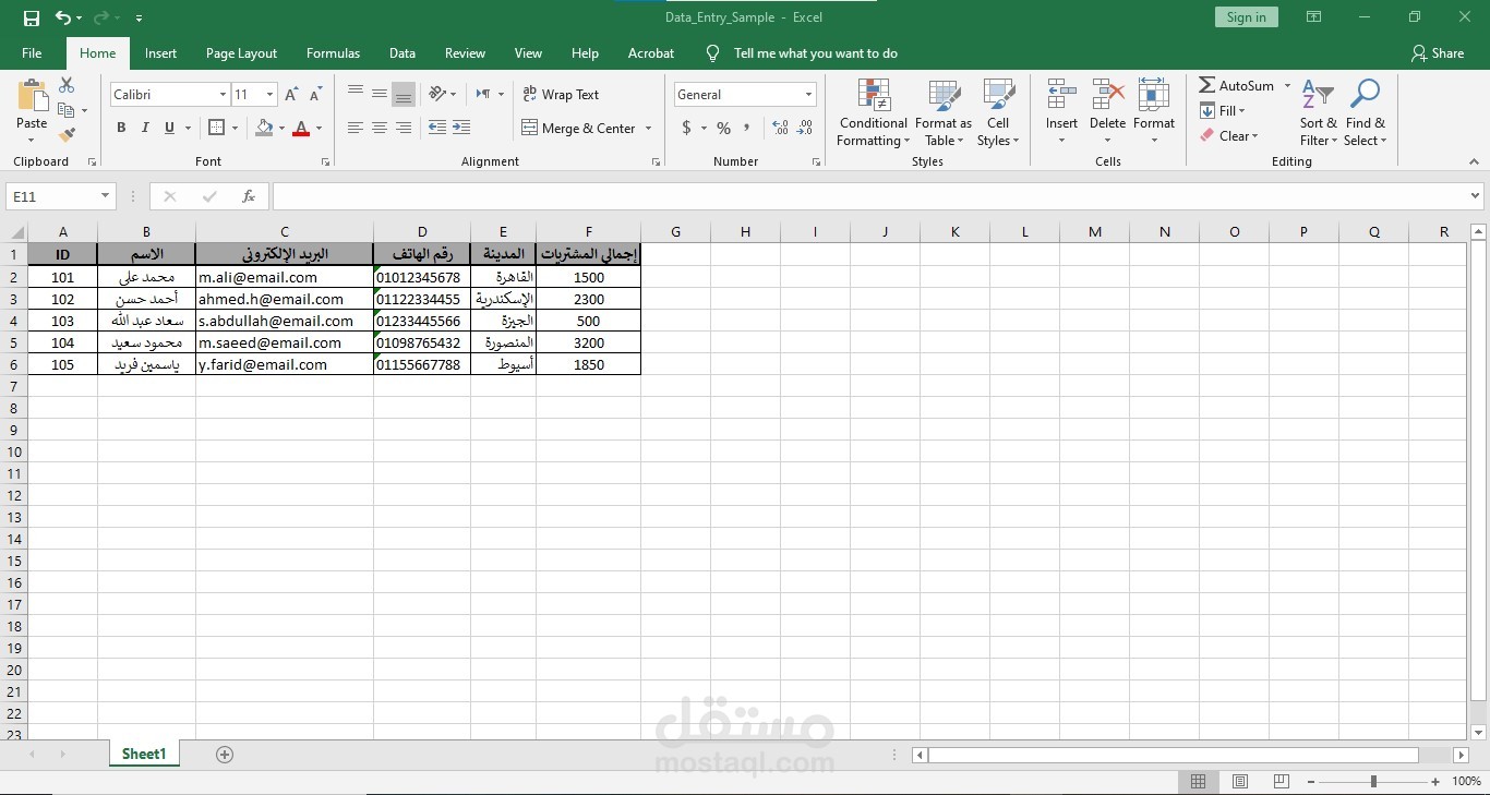 نموذج Excel يحتوي على بيانات إدخال منظمة