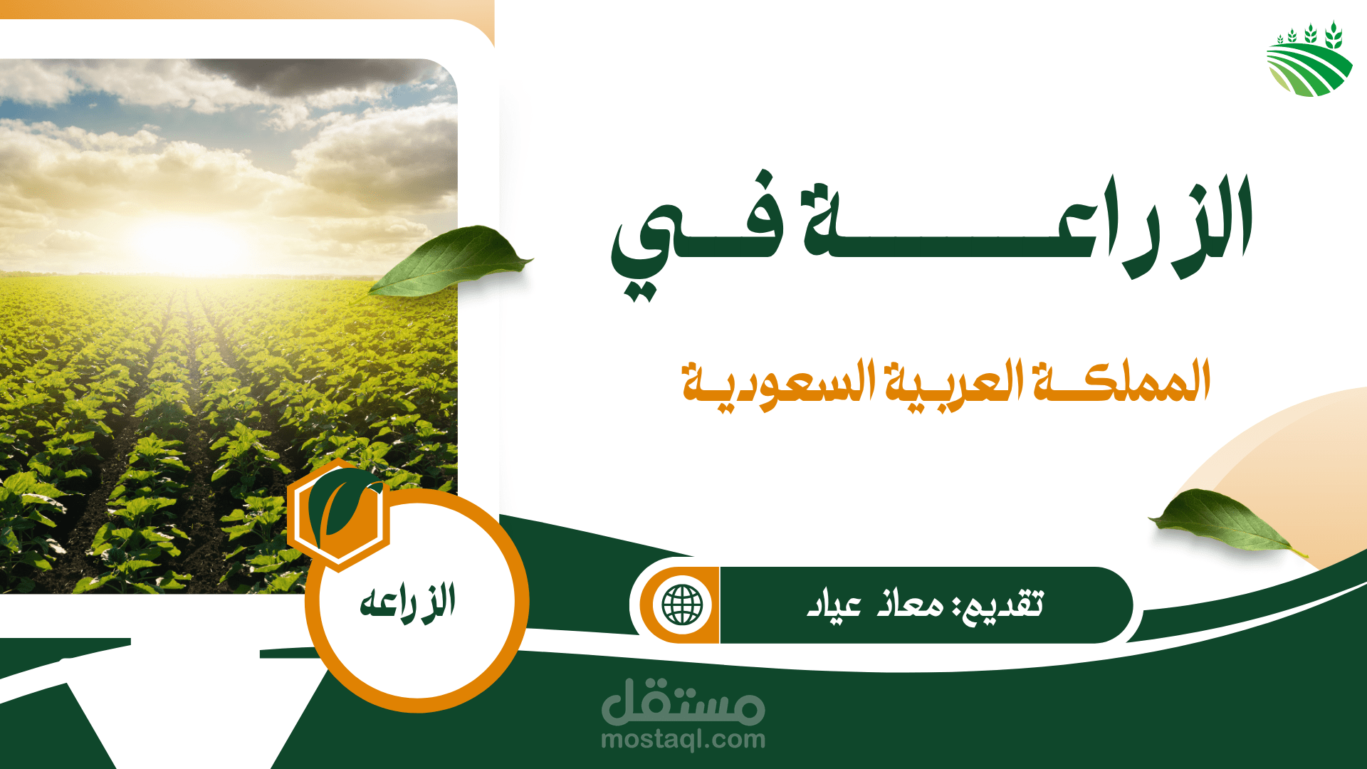 ملف pdf عروض تعريفيه برزنتيشن لاحد المشاريع