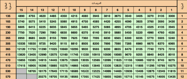 اعداد هيكل رواتب