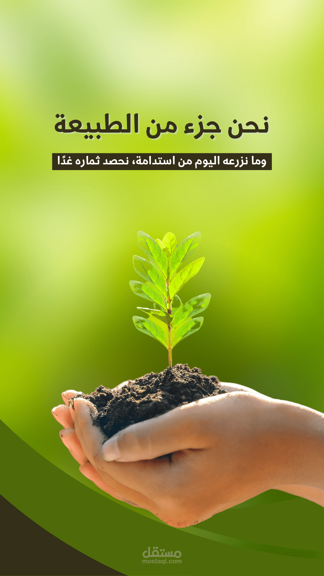 مقالة عن رحلة إلى قلب الطبيعة: حيث الجمال يلتقي بالهدوء