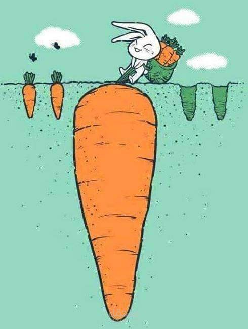 مذكرة  الرياضيات الصف الأول الابتدائي