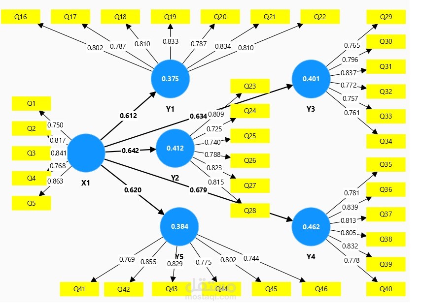 Statistical analysis (SEM)