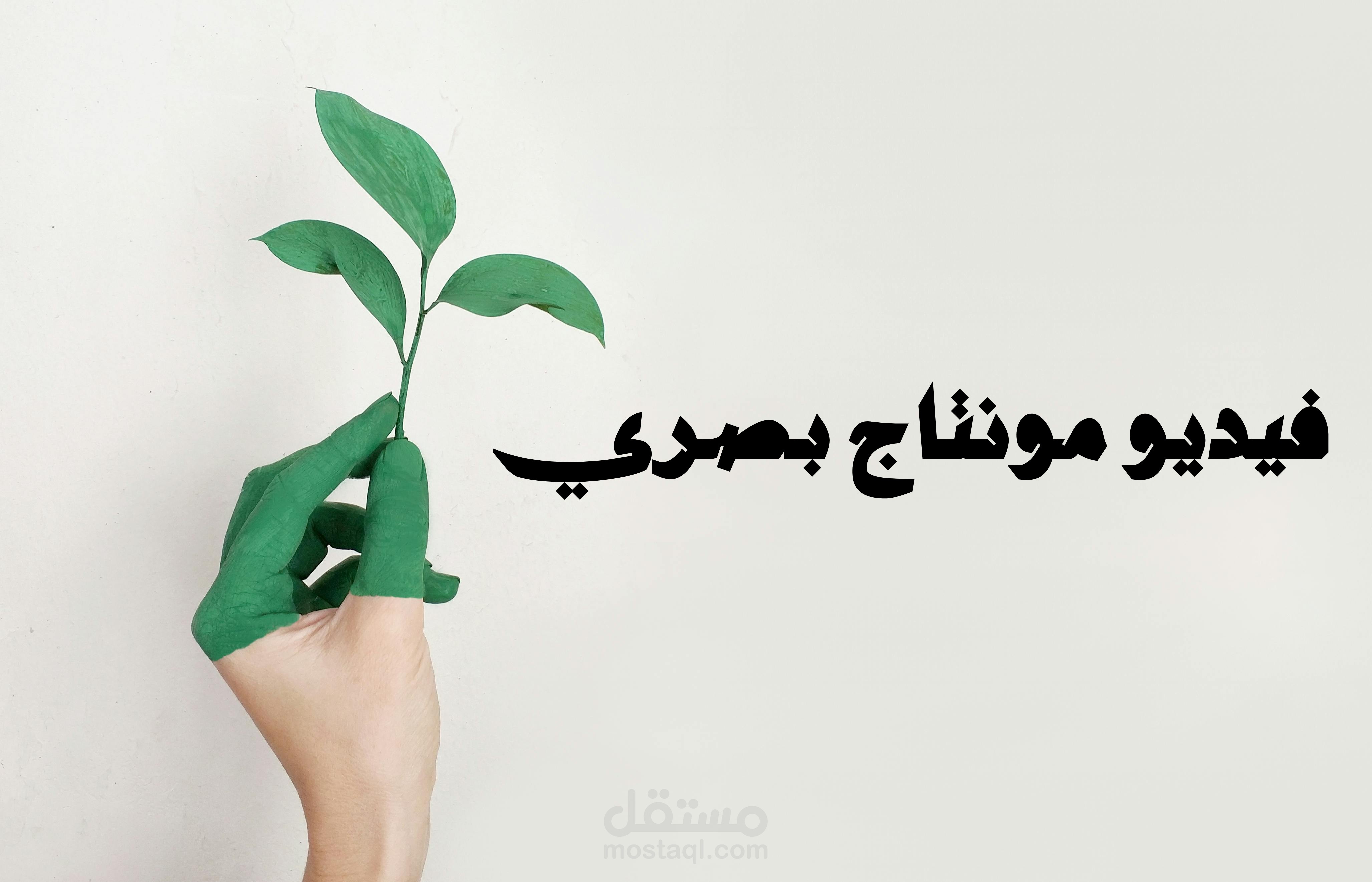 إنتاج فيديو مونتاج بصري