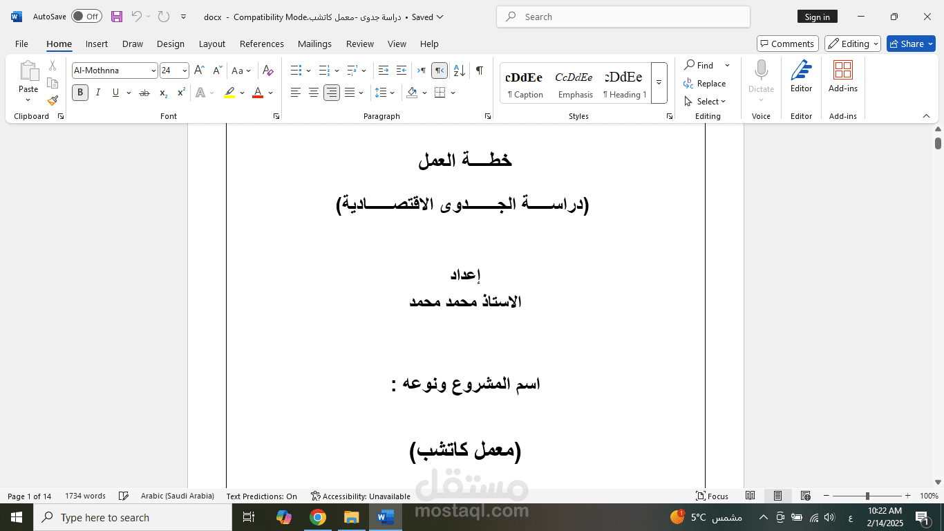 دراسة جدوى اقتصادية لمعمل كتشب