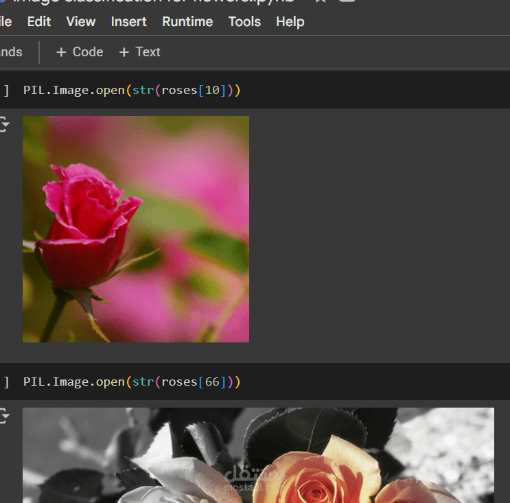 Flower Image Classification