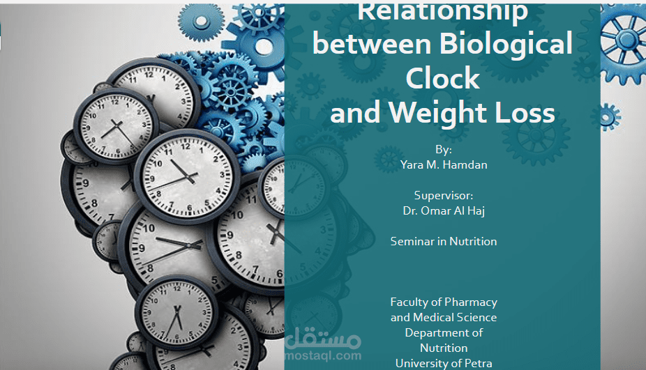 Relationship between Biological Clock & Weight Loss