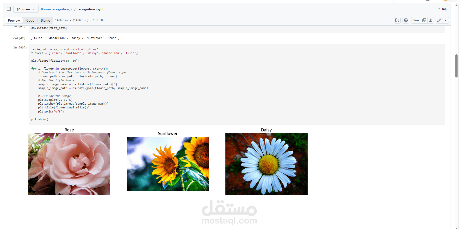 (Flower Recognition Project  (deep learning
