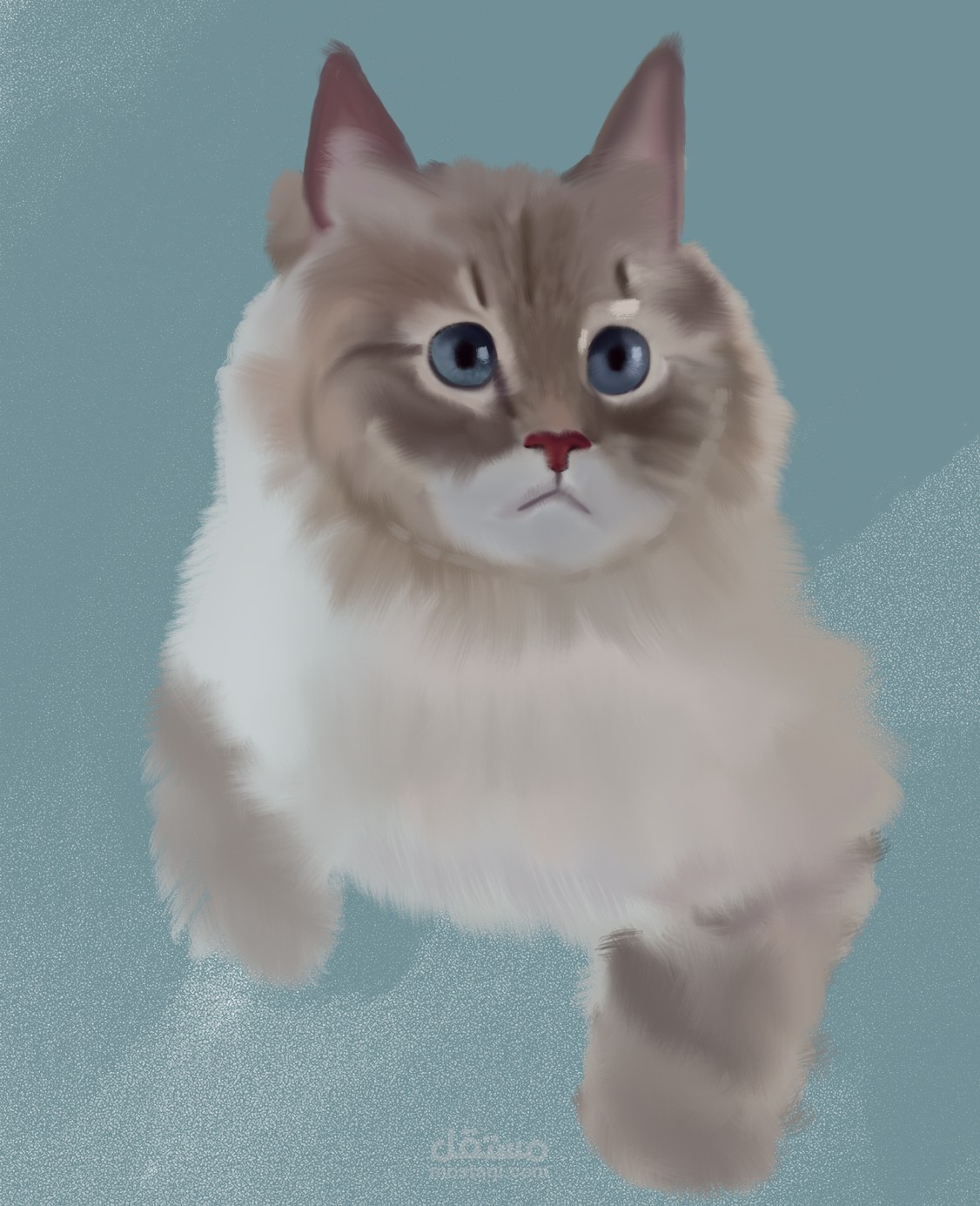 رسم بورتريه