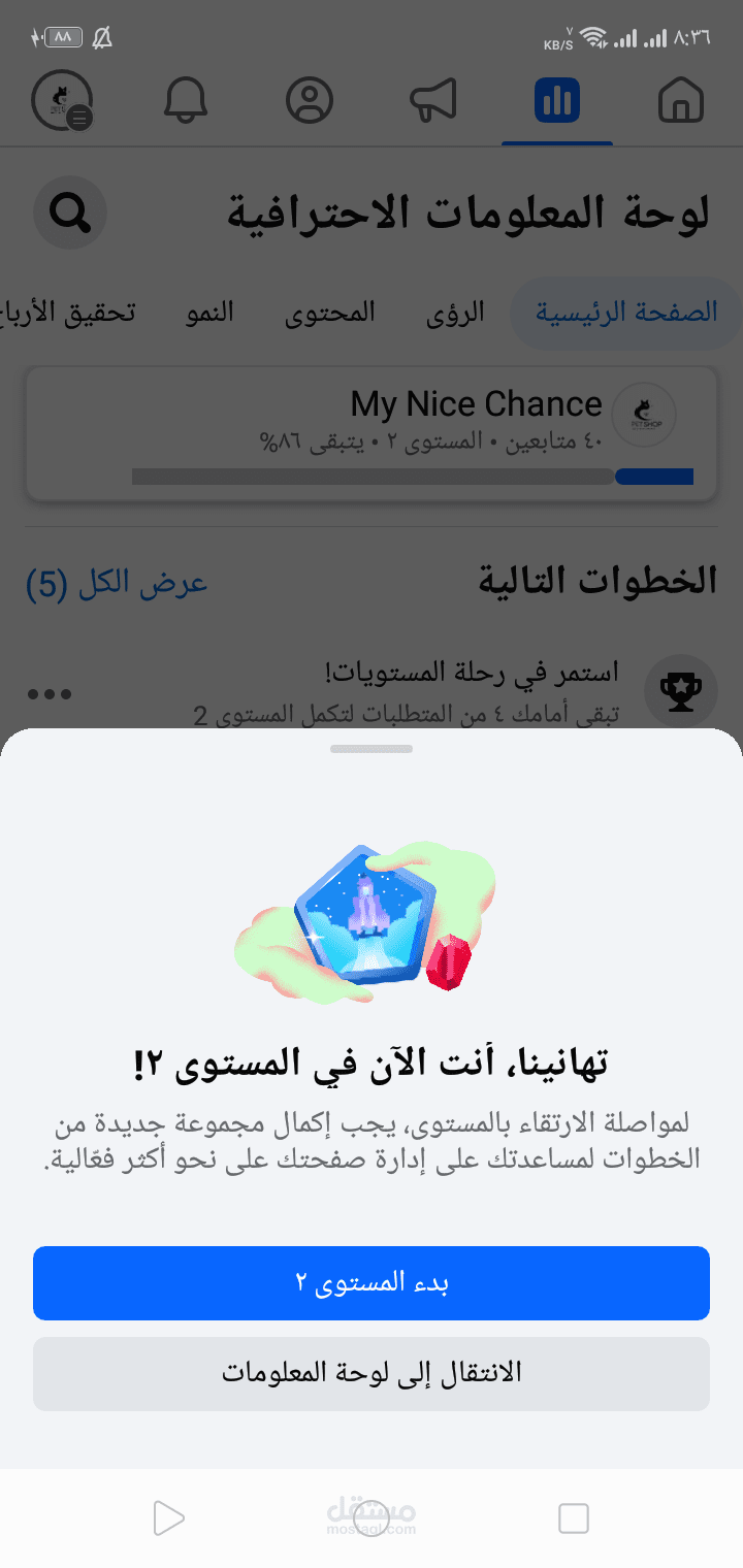 نتائج العمل علي حسابات السوشيال ميديا