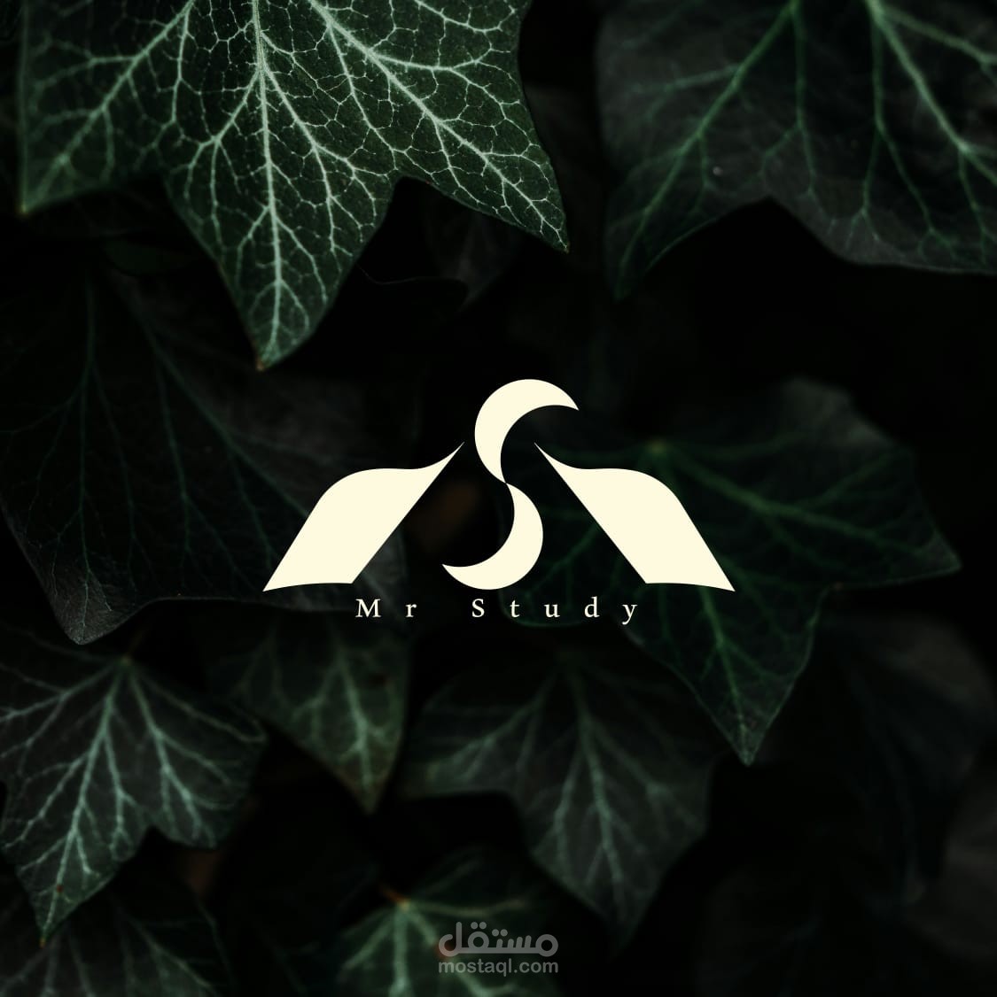 تصميم شعار لمؤسسة تعليمية