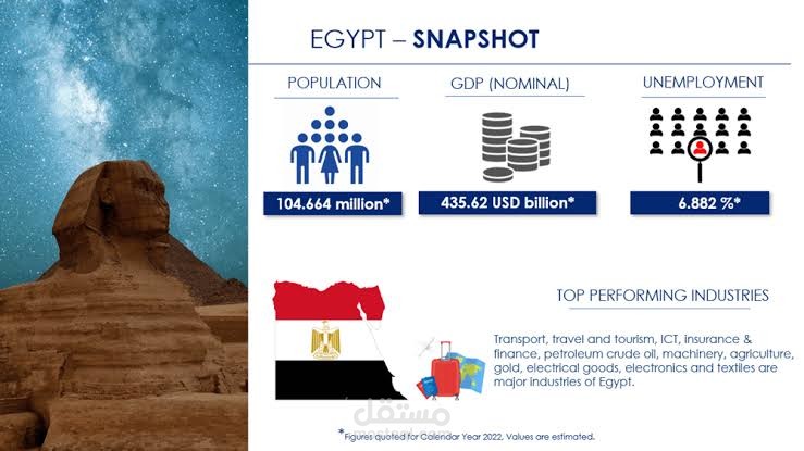Market analysis for cosmetics market in Egypt
