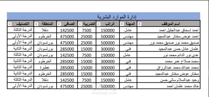إدخال البيانات في برنامج الاكسيل