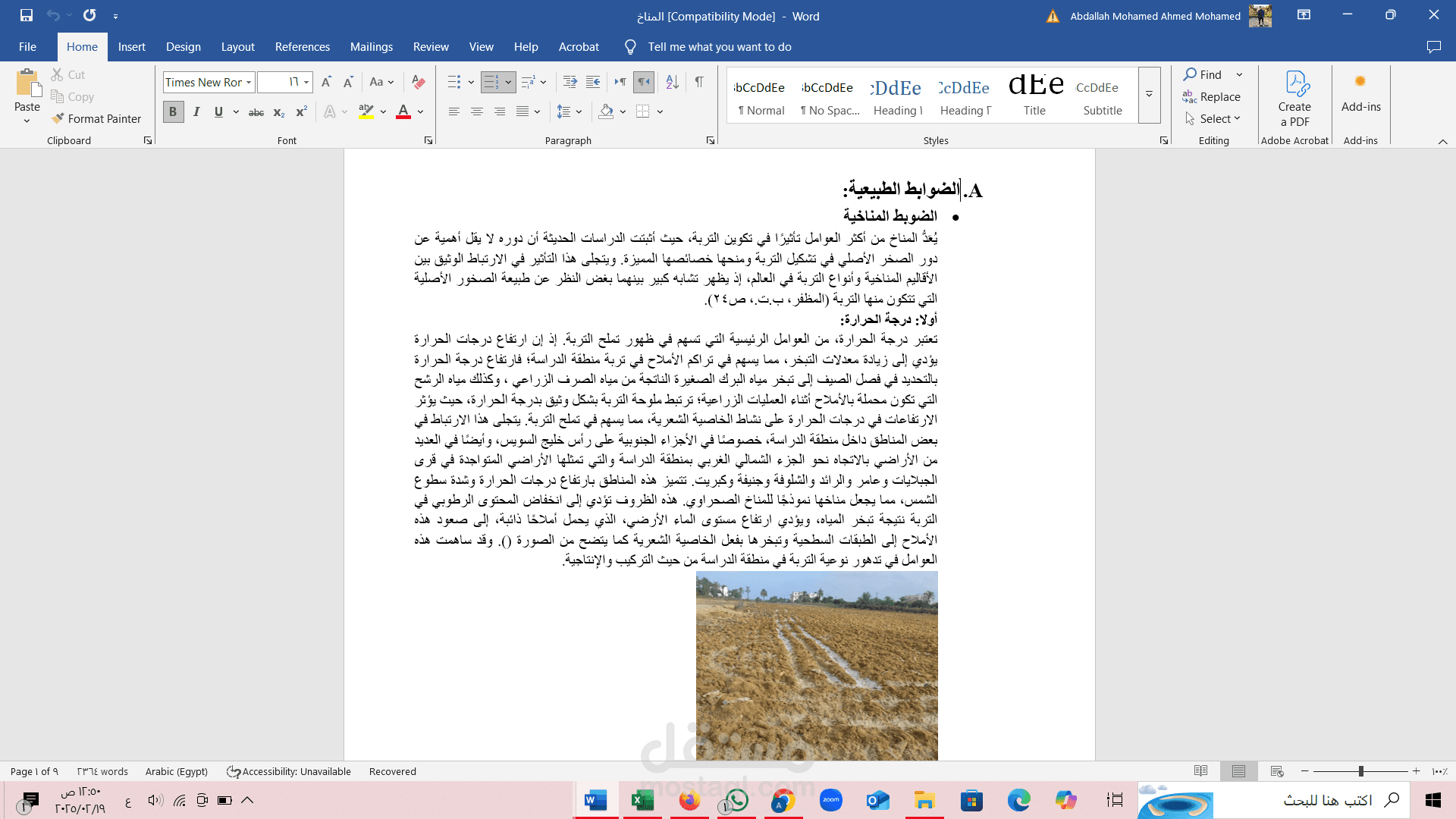 مايكروسوفت وورد