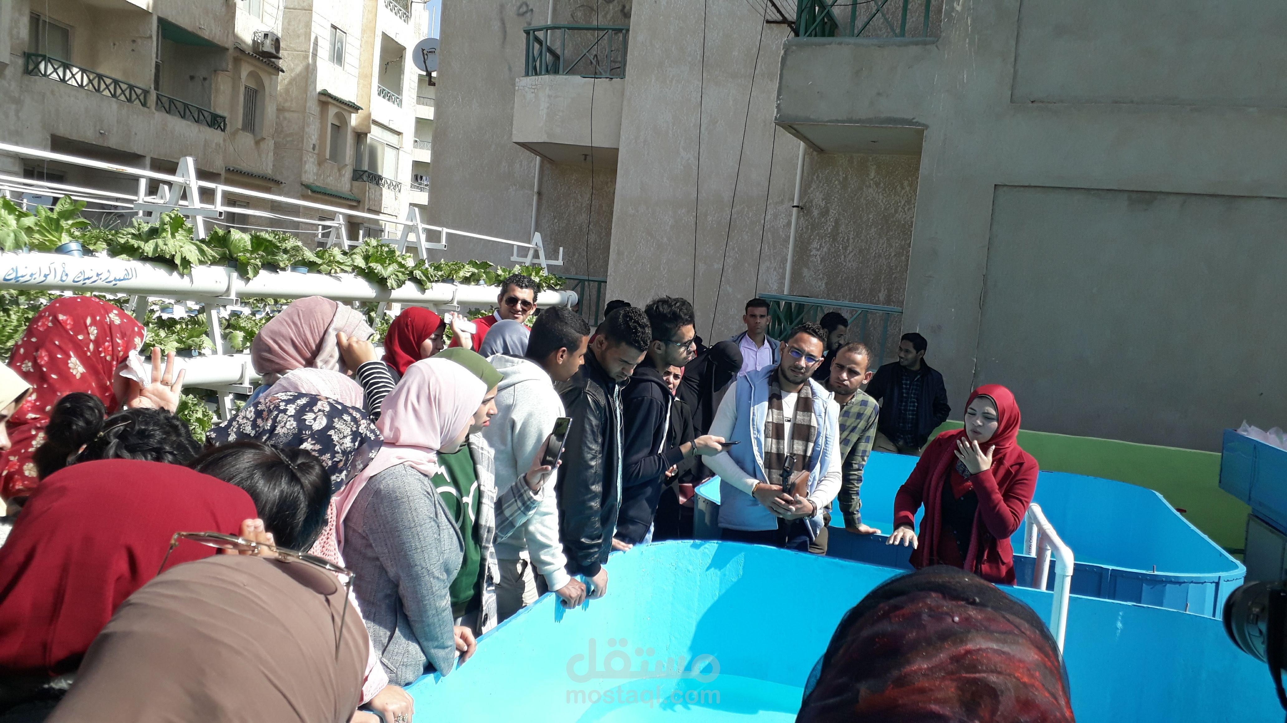 دورات تدريبية فى مجال الزراعة المائية والاكوابونيك