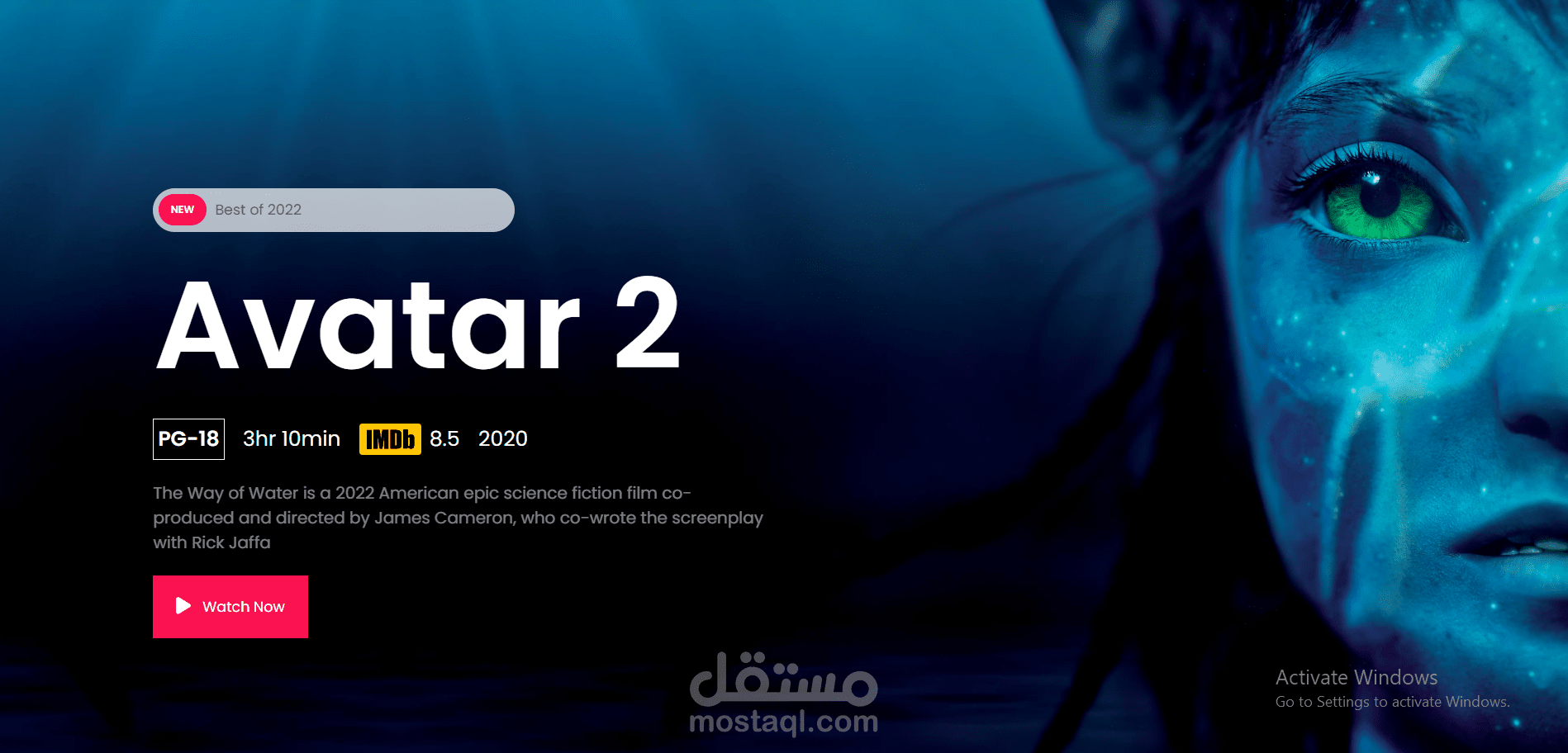 movie App with api from IMDB