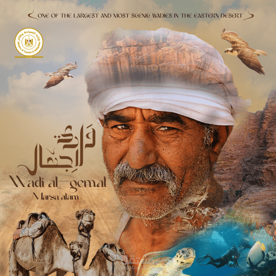 تصميم سوشيال ميديا عن وادي الجمال