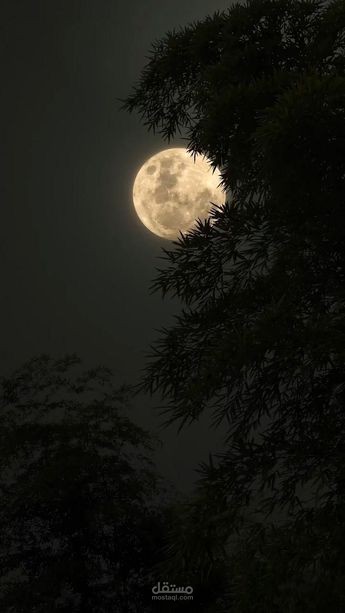 "همسات القمر".
