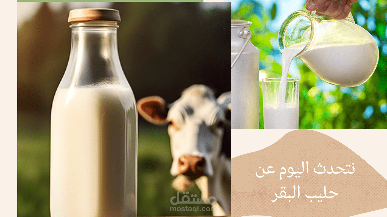 حليب البقر